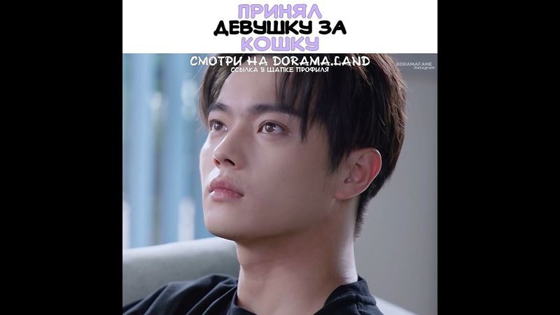 🐈Принял девушку за кошку ~ Влюбиться в твою улыбку ~ Falling Into Your Smile