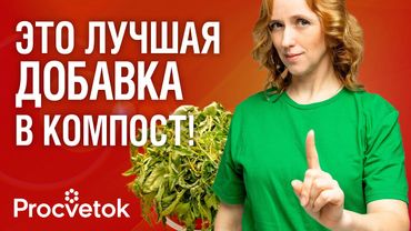 БОЛЬНУЮ БОТВУ, ОПАД И ДАЖЕ СОРНЯКИ С СЕМЕНАМИ МОЖНО КЛАСТЬ В КОМПОСТ, если знать этот важный нюанс