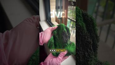 Самая честная уборщица в МИРЕ 🗺️