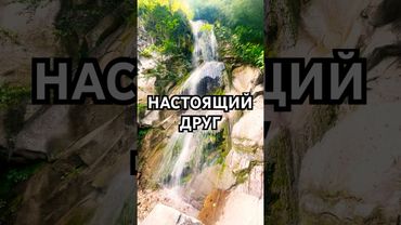 Настоящий друг #motivation #мотивация #psychology #психология #психолог #цитаты #мудрость #дружба