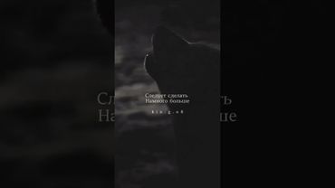 мотивация #мотивация #лев #терпим #ислам