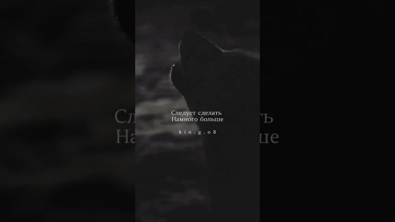 мотивация #мотивация #лев #терпим #ислам