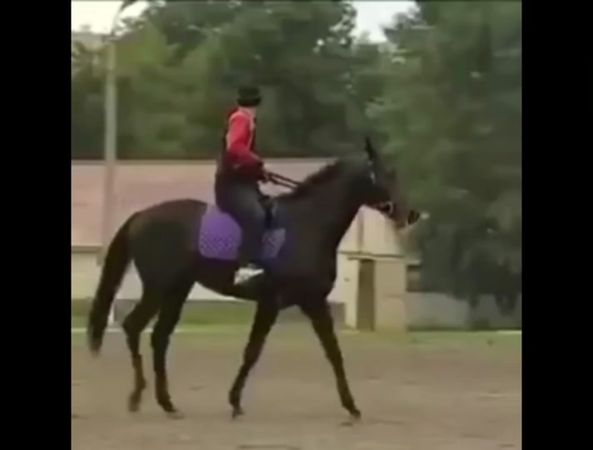 на Черкесском 😂 #таулу #къарачаевцы #балкарцы #лошадь  @Hudiyᵗᵃᵘˡᵘ @𝑰...