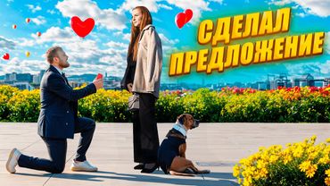 Я СДЕЛАЛ ПРЕДЛОЖЕНИЕ ДЕВУШКЕ СО СВОЕЙ СОБАКОЙ И ВОТ ЧТО ИЗ ЭТОГО ПОЛУЧИЛОСЬ #собака