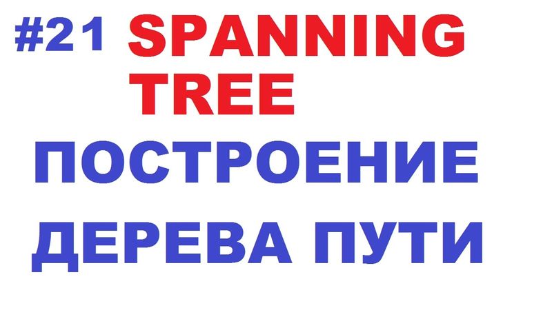 Построение топологии STP и выбор пути Spanning Tree