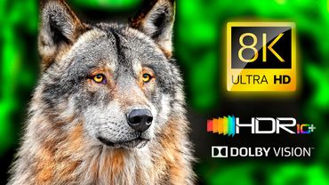 CORES IMPRESSIONANTES 💥 HDR fantástico 8K 120FPS Dolby Vision - Vídeo 4K #8K