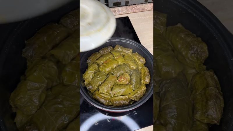 Délicieux plat de viande hachée et de jeunes feuilles de raisin. ASMR