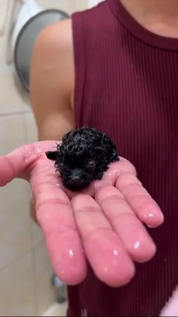 O resultado 😮‍💨😱 