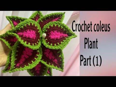 Crochet coleus plantكروشيه نبات السجاد