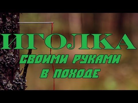 Иголка из подручных средств.