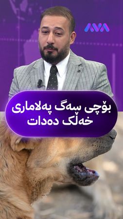 پزیشکی ڤێتەرنەرییە و باسی دەکات