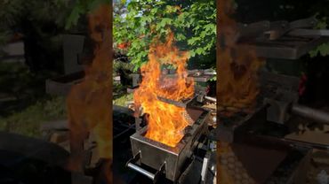 АД для Веганов 🔥🥩