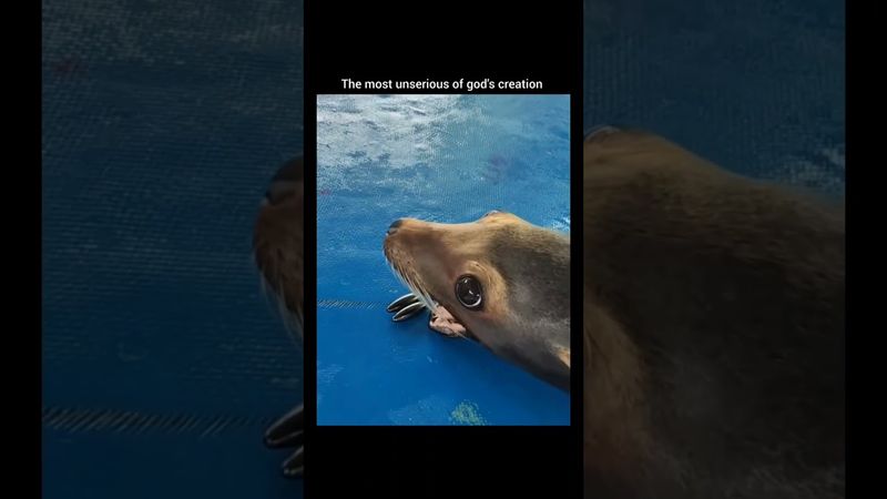 The most random 🤣🤣 #shorts #shortsfeed #funny #trending