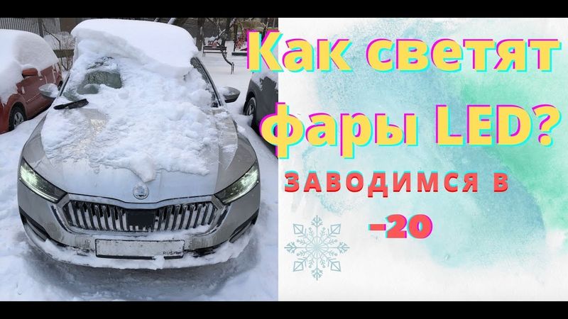 Новая Skoda Октавия А8 - отзыв владельца: заводимся в -20, про диодные Led фары и коробку передач