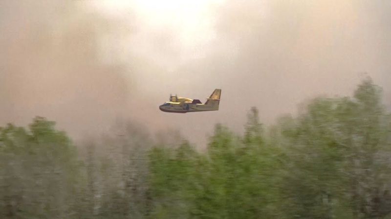 В Канаде из-за лесных пожаров гибнут люди