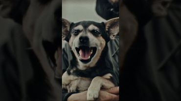 Премьера клипа! КАССЕТА, Черная Экономика — ХАХАХА