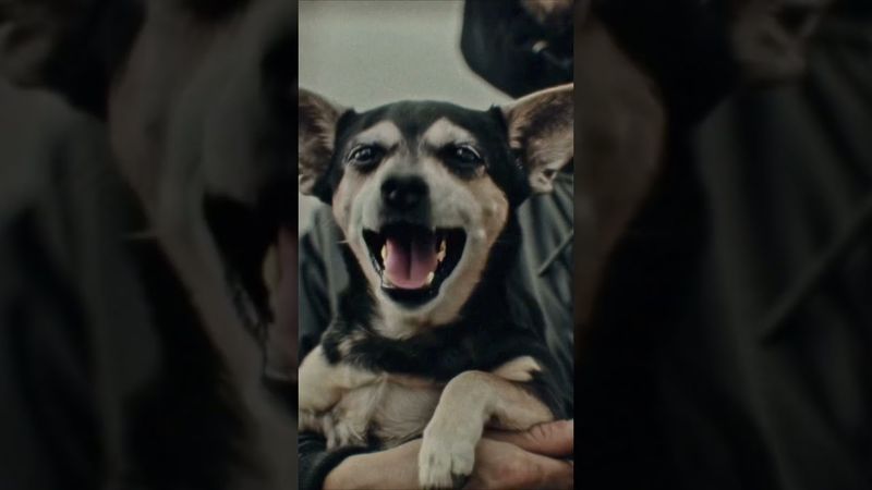 Премьера клипа! КАССЕТА, Черная Экономика — ХАХАХА