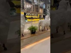 #ремесло #омархайям #цитаты #мудрость #великиелюди #мосва #офис #работа