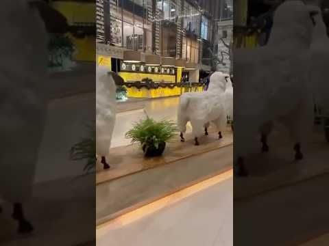 #ремесло #омархайям #цитаты #мудрость #великиелюди #мосва #офис #работа