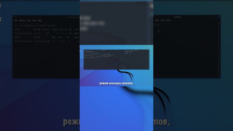 Как перехватить пароль от Wi-Fi #hacker #hack #hacks #fyp #shorts #linux #wifi #computerscience