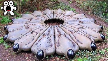 10 Самых Страшных Находок В Лесу