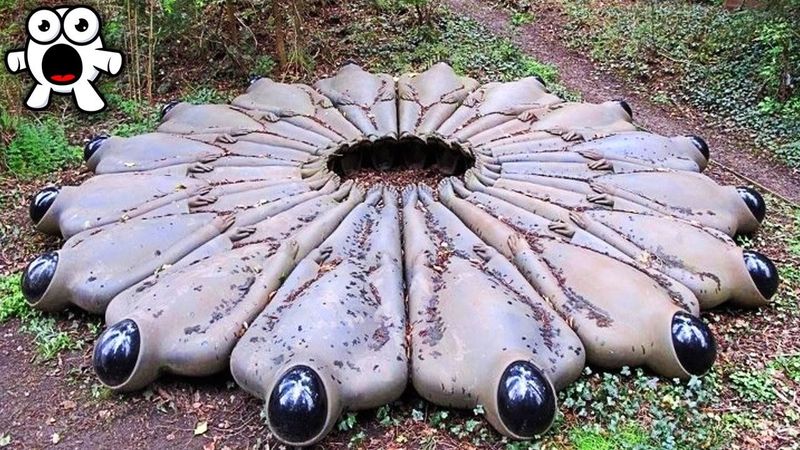 10 Самых Страшных Находок В Лесу