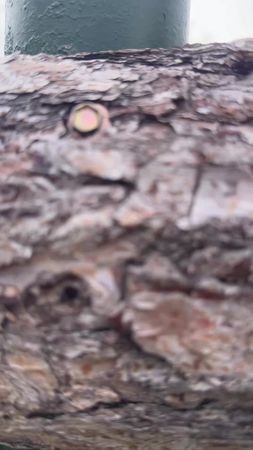 TikTok video #7519432312077995320