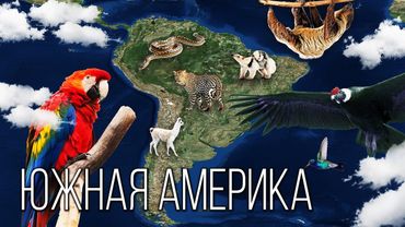 Материк Южная Америка: Самый Удивительный Континент Планеты | Интересные факты про Южную Америку