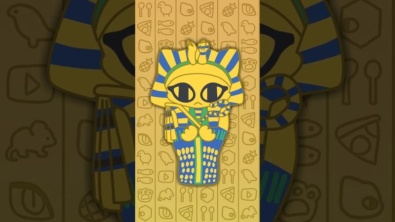 Sphynx cat☀️🐈️🌵