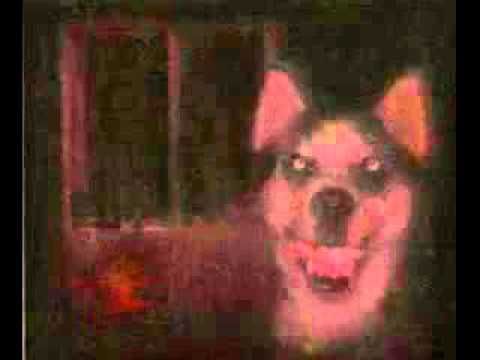 Видео которое сводит с ума многих людей (Smile dog X)