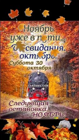 TikTok video #7024783322639387906