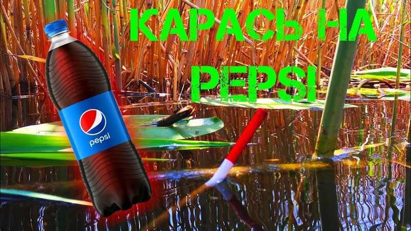 💥ПЕПСИ вместо АТТРАКТАНТА | КАРАСЬ в КАМЫШЕ оценил
