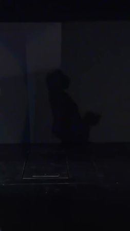 Alexa Bliss está de regreso como compañera de Zelina Vega en #SmackDo...