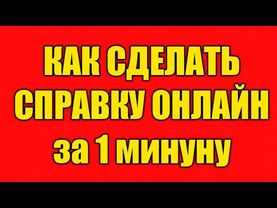 КАК СДЕЛАТЬ СПРАВКУ ОНЛАЙН ЗА 1 МИНУТУ