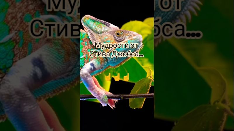 Задумайся! #психология #цитаты #люди #саморазвитие #вдохновение #мудрость #сила #жизнь #цель