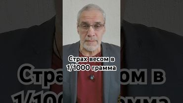 Страх весом в 1/1000 грамма #история #точносказано #history #комар #факты #красивосказано #скрытые
