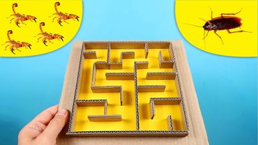 ЧТО ЕСЛИ МАЛЫШИ СКОРПИОНЫ И ТАРАКАН ПОПАДУТ В ЛАБИРИНТ?