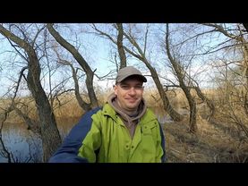 Карась на озере Орловское I Ловля на поплавок в камыше