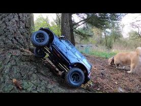 Traxxas TRX4M  Bronco Woodland Trail