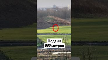 Подзыв собаки с расстояния! #собака #бордерколли #окки #подзыв #дресировка #зум #телефон #шок