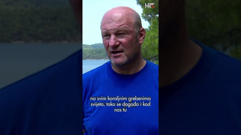 Koraljni greben u NP Mljet ugrožen je zbog klimatskih promjena.#HRTDnevnik #hrvatskaradiotelevizija