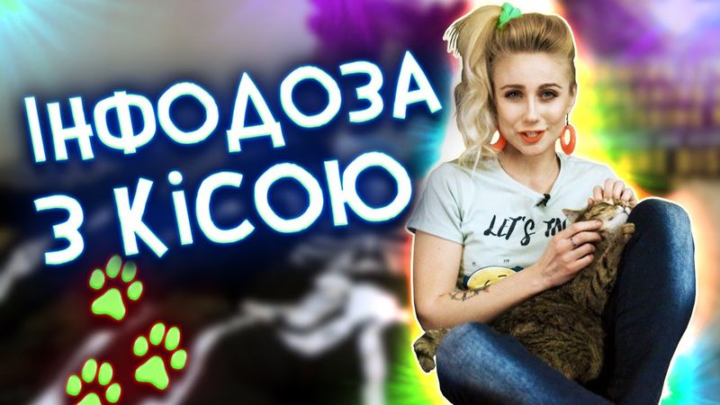 Ігрові новини для котиків. Нові правила Twitch в дії!!! зможемо 400 лайків? | Інфодоза на карантині