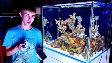 Это НАСТОЯЩИЙ морской аквариум с клоунами и кораллами дома! Аквариум спустя 1,5 месяца!