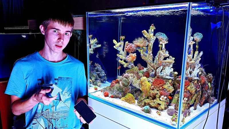 Это НАСТОЯЩИЙ морской аквариум с клоунами и кораллами дома! Аквариум спустя 1,5 месяца!