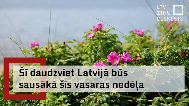 Šonedēļ uz dažām dienām iestāsies sauss, saulains un karsts laiks