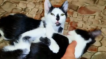 #Славянск. 24 августа 2025г. Вечер.