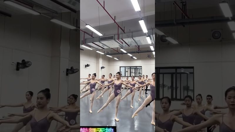 舞蹈生 基本功 芭蕾 毯子功 中國舞 基訓 美姿美儀 舞蹈教室