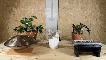 Spoken Word feat Mushroom and the Plants