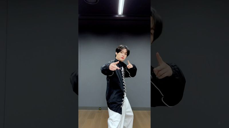 #LeeKnow got good #KARMA #StrayKids #스트레이키즈 #리노 #CEREMONY #CEREMONYchallenge