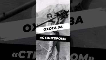 Как спецназ ГРУ нашёл секретный Стингер? #научпоп #история #факты #историческиефакты #историяроссии